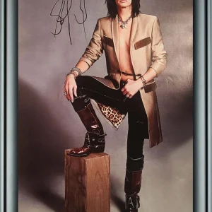 Aerosmith Steven Tyler Signed Debonair Framed 24x36 Canvas Photo Video Proof