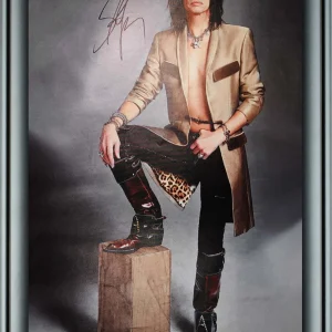 Aerosmith Steven Tyler Signed Framed 24x36 Canvas Photo Print Video Proof ACOA