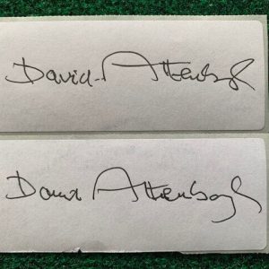 DAVID ATTENBOROUGH LOT OF 2 SIGNED STICKERS TO INSERT IN HIS BOOKS+COA