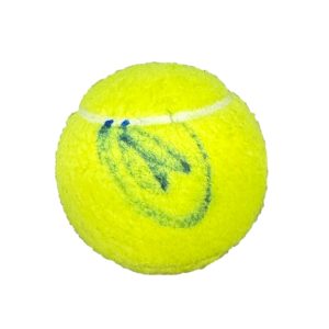 Novak Djokovic Signed Autograph Tennis Ball - Winningest Grand Slam Champion JSA