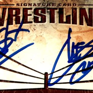 Motor City Machine Guns Signed TNA Wrestling Autograph Card Alex Shelley & Sabin