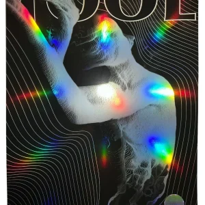 2022 TOOL NEW ORLEANS POSTER CONCERT TOUR 1/5/22 DEBORAH SHEEDY SMOOTHIE /650 !