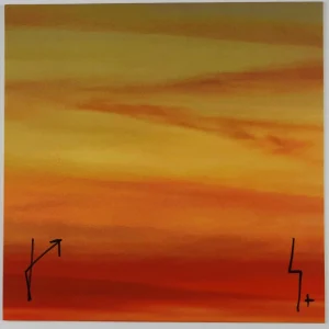 Thirty Seconds To Mars Jared Leto JSA Fully Autograph Signed Album Vinyl