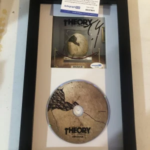 TYLER CONNOLLY THEORY OF A DEADMAN SIGNED AUTOGRAPH FRAMED CD DISPLAY ACOA