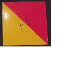 JAMES TAYLOR AUTOGRAPHED FLAG ALBUM SIGNED COA