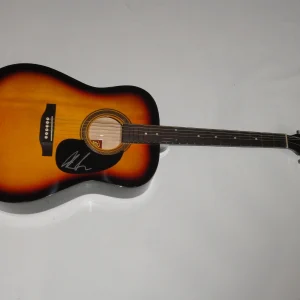 ART ALEXAKIS SIGNED FULL-SIZE SUNBURST ACOUSTIC GUITAR EVERCLEAR PROOF