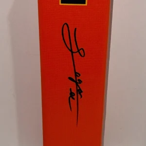 LOGAN LEE SIGNED TOUCHDOWN PYLON IOWA HAWKEYES NFL STAR PROOF