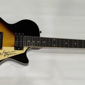 WARREN HAYNES SIGNED SUNBURST DLP ELECTRIC GUITAR VERY RARE PROOF JSA COA