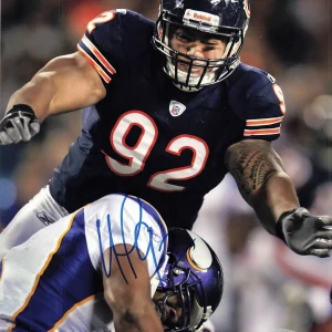 STEPHEN PAEA Signed 8x10 photo PSA/DNA Chicago Bears Autographed