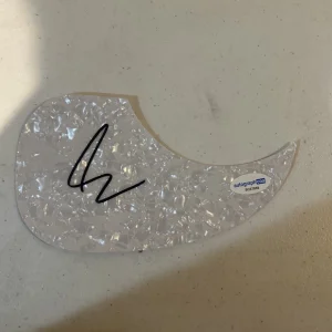 ART ALEXAKIS EVERCLEAR SIGNED AUTOGRAPH ACOUSTIC GUITAR PICKGUARD ACOA COA