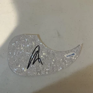 ART ALEXAKIS EVERCLEAR SIGNED AUTOGRAPH ACOUSTIC GUITAR PICKGUARD ACOA COA