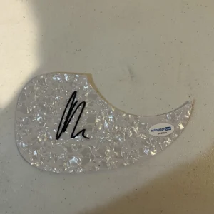 ART ALEXAKIS EVERCLEAR SIGNED AUTOGRAPH ACOUSTIC GUITAR PICKGUARD ACOA COA