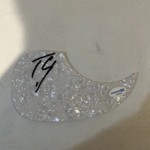 TYLER CONNOLLY SIGNED AUTOGRAPH ACOUSTIC PICKGUARD THEORY OF A DEADMAN ACOA