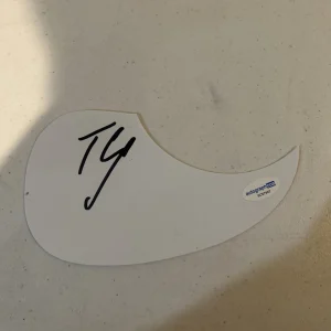 TYLER CONNOLLY SIGNED AUTOGRAPH ACOUSTIC PICKGUARD THEORY OF A DEADMAN ACOA