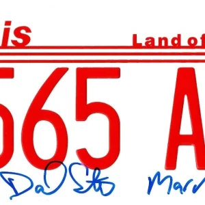 Daniel Stern Signed License Plate Home Alone Authentic Autograph Beckett