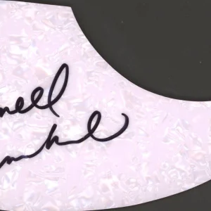ARNELL CARMICHAEL RAYDIO SIGNED AUTOGRAPH ACOUSTIC GUITAR PICKGUARD ACOA