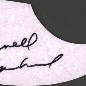 ARNELL CARMICHAEL RAYDIO SIGNED AUTOGRAPH ACOUSTIC GUITAR PICKGUARD ACOA