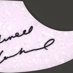 ARNELL CARMICHAEL RAYDIO SIGNED AUTOGRAPH ACOUSTIC GUITAR PICKGUARD ACOA