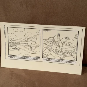 AWESOME CLOSE TO HOME ORIGINAL Sunday 2 Panel COMIC STRIP ART MCPHERSON 11/10/96