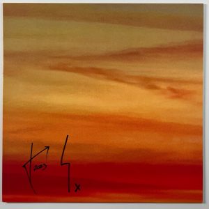 Thirty Seconds To Mars Jared Leto JSA Fully Autograph Signed Album Vinyl