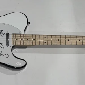 AL STEWART & ALAN PARSONS SIGNED CUSTOM YEAR OF THE CAT ELECTRIC GUITAR JSA COA