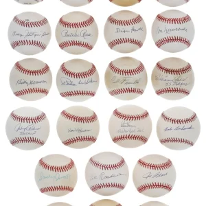 1955 Brooklyn Dodgers W.S. Team Signed Baseball Collection 29 Balls PSA JSA COA