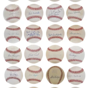 1953 Brooklyn Dodgers Team Signed Baseball Collection 31 Balls PSA JSA COA