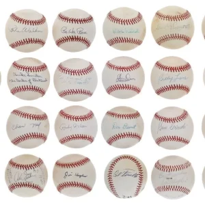 1956 Brooklyn Dodgers Team Signed Baseball Collection 31 Balls PSA JSA COA