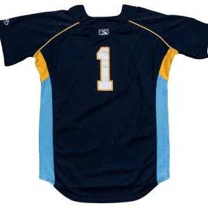 2015 Gleyber Torres Pre Rookie Game Used Chicago Cubs Minor League Jersey COA