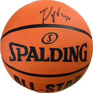 Zach Randolph Signed Basketball PSA/DNA Autographed Memphis Grizzlies