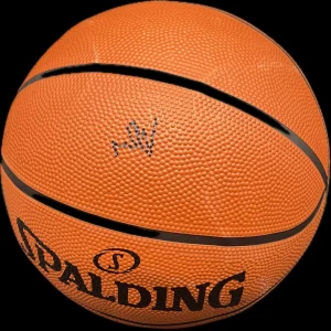 Will Riley Signed Basketball PSA Illinois Fighting Illini