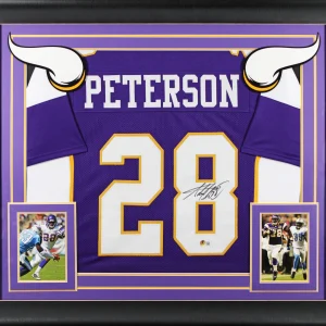 Adrian Peterson Authentic Signed Purple Pro Style Framed Jersey BAS Witnessed