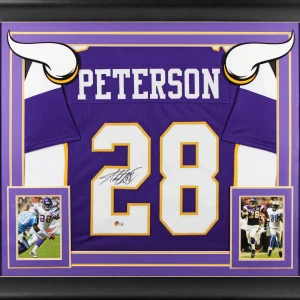 Adrian Peterson Signed Purple Pro Style Framed Jersey Signed on #2 BAS Wit