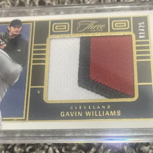 2023 Panini Three And Two Gavin Williams Jumbo Patch /25