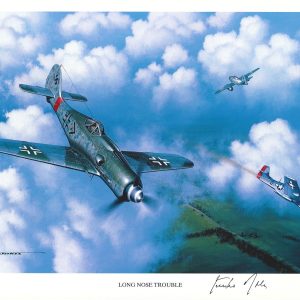 GUNTHER RALL HAND SIGNED LONG NOSE TROUBLE PRINT STAN STOKES WWII ACE 275V