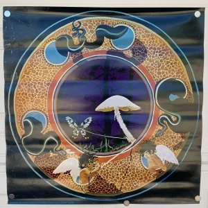 John Splinter Mushrooms Destroying Angel Vintage 1973 25" x 25" Poster #51