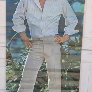Shaun Cassidy Sexy Vintage 24" x 67" Large Door Poster #90
