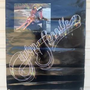 Captain & Tennille Greatest Hits Vintage 1977 Poster 29" x 36" Promo Poster #109