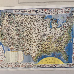 Pictorial Wildlife & Game Map Of The USA Ira Moss 1956 20" x 27.5" Poster #187