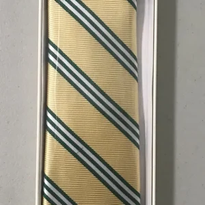 2018 Masters Exclusive Augusta National Neck Tie Yellow Green New In Box