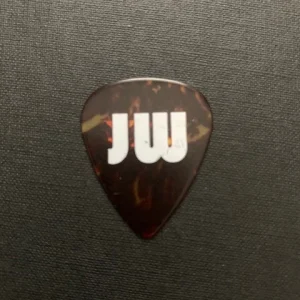 JOE WALSH AUTHENTIC PERSONAL GUITAR PICK FROM 2017 RARE EAGLES GUITARIST