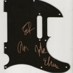 Wolf Alice REAL hand SIGNED Guitar Pickguard COA Autographed