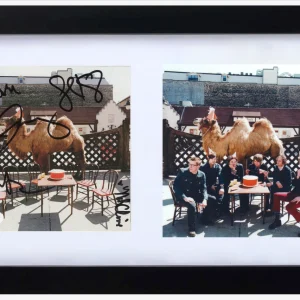 Wilco Signed Autograph Wilco The Album CD Cover Framed Jeff Tweedy Band x5 ACOA