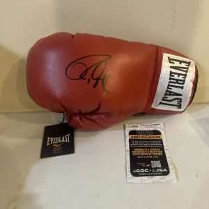 ROY JONES JR SIGNED AUTOGRAPH EVERLAST BOXING GLOVE JSA COA HOF BOXER CHAMPION