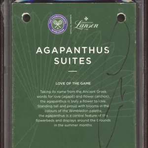 Carlos Alcaraz Signed 2023 Wimbledon Final Champion Pass Ticket Auto Psa/Dna