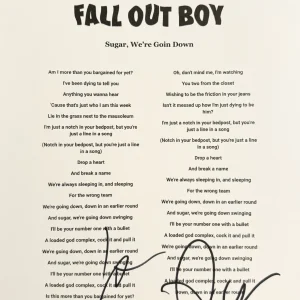 Pete Wentz & Patrick Stump Signed Sugar, We’re Goin Down Lyric Sheet JSA COA