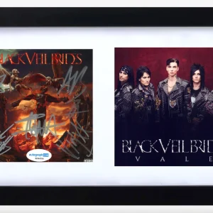 Black Veil Brides Signed Autograph Vale CD Cover Framed Andy Biersack Band ACOA