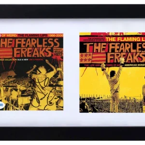 Wayne Coyne The Flaming Lips Signed The Fearless Freaks CD Cover Framed ACOA COA