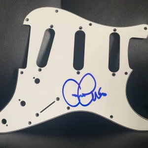 GUITAR PICK GUARD WITH UNKNOWN SIGNATURE          VERY CHEAP+ALL SALES FINAL