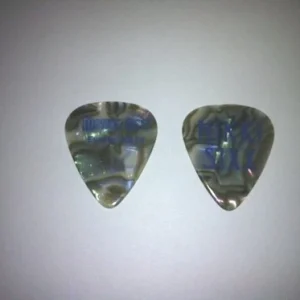 Motley Crue Nikki Sixx Shell 2010 Europe Guitar Pick